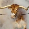 Greg Cogswell's profile picture