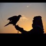عبدالله خيران بن مجحود's profile picture