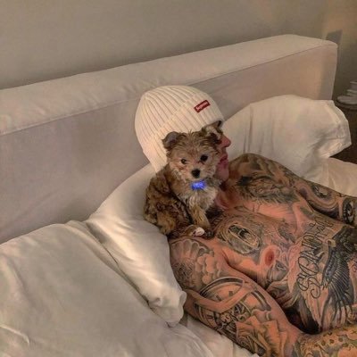 Alen67133392's profile picture