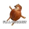 Profilbild von Coconut Dog