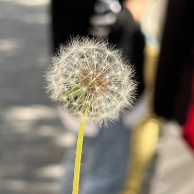loveworldow's profile picture