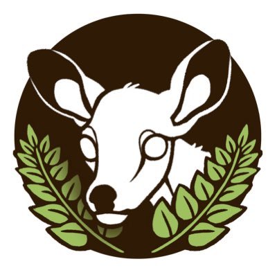 🌿Fern and Fallow𐂂's profile picture