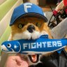 先天性ミナミの低能【Fファン(新庄剛志監督)京セラ観戦仲間募集】【臨時🦊≧🐯≧🐮≧🐟≧⭐️】's profile picture
