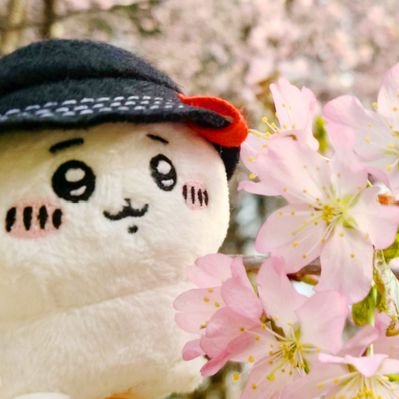 ᓚᘏᗢヌコ's profile picture