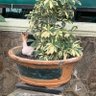 babyblue's profile picture