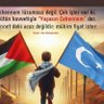 ALLAHA SEVDALI's profile picture