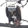 Mazi's profile picture
