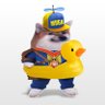Cousin merl ๐บ๐ฆ๐ฌ๐ง's profile picture