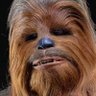 CHEWIE 的头像