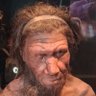 Laus tacendi's profile picture
