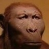 LordBurgh's profile picture