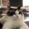 Profilbild von mily_2024