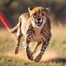 Фото профиля CyberCheetah
