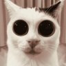 DingleMcFriend Jr. profil fotoğrafı