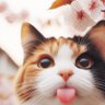 かふぇおれ profil fotoğrafı