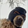 Profilbild von pepo