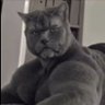 Profilbild von tanner