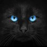 Profilbild von tere