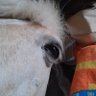まりん's profile picture