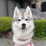 Profilbild von ãããã