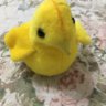 Profilbild von pollito del carmen