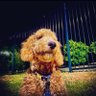 Jonam profil fotoğrafı