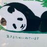 はとむぎ茶's profile picture