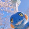 Profilbild von すすすめし