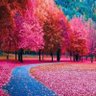 Фото профиля 妖娆的云