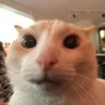 Barn1's profile picture