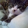 じゅき😸🤩's profile picture