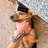 KevV3's profile picture