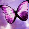 LauraElle's profile picture