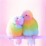 ひよこ profil fotoğrafı