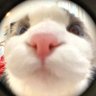 G''s profile picture