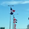 l🇩🇴The Real _Dom! ##YaBasta! 的头像