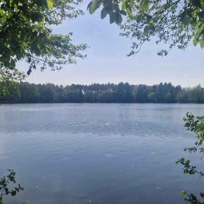 Y_Freind's profile picture