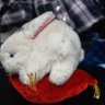 Profilbild von ぴょんこの🐰源さん益々好きです😳