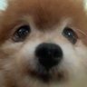 morningperson's profile picture