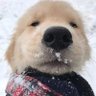 popojee's profile picture