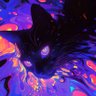 alleycat profil fotoğrafı