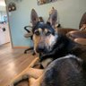louise.cravenmclean profil fotoğrafı