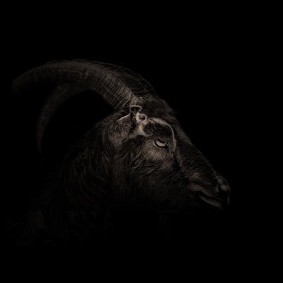 EggersFilms's profile picture