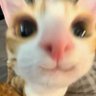 lindaaaa!!'s profile picture