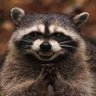 Clive e profil fotoğrafı