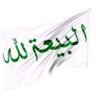 منة الله 的头像