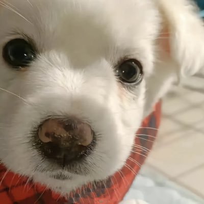 miemieshoucang_'s profile picture