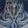 Blackbull's profile picture