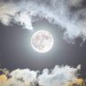 سبأ's profile picture