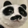 Profilbild von Pupudu